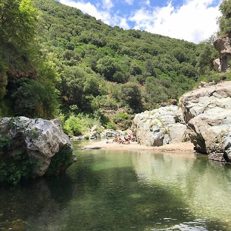 Ferula Romantica Mansarda Tra Fiumi E Montagne Sardegna Seùlo Eksteriør billede