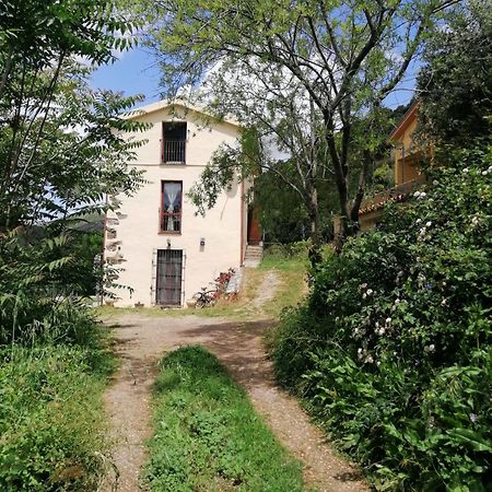 Ferula Romantica Mansarda Tra Fiumi E Montagne Sardegna Seùlo Eksteriør billede