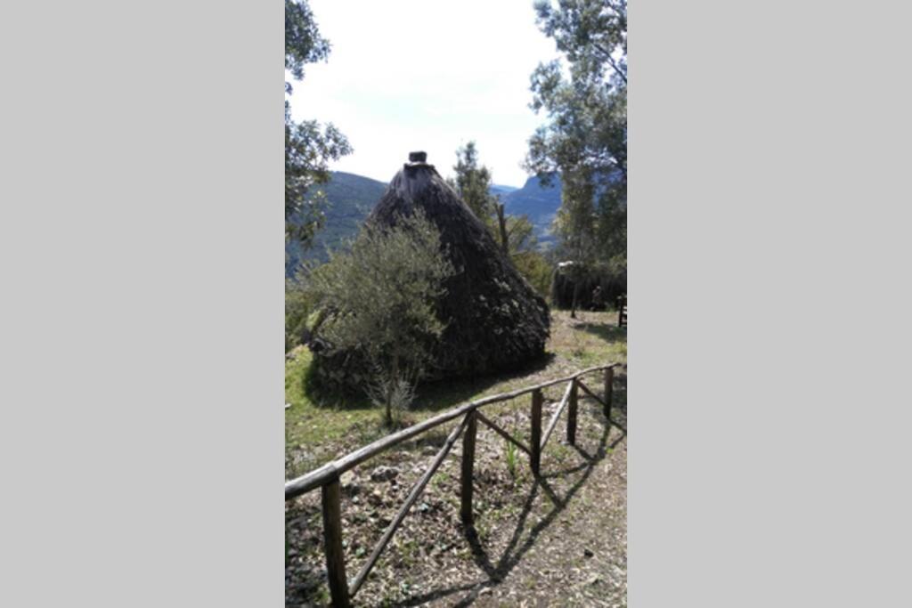 Ferula Romantica Mansarda Tra Fiumi E Montagne Sardegna Seùlo Eksteriør billede