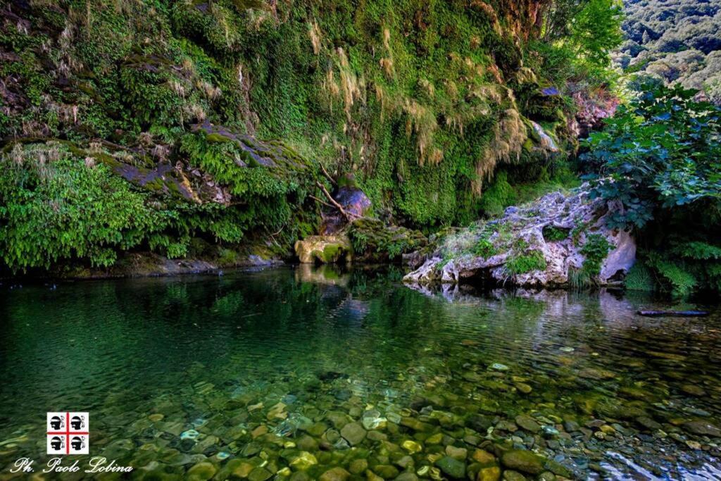 Ferula Romantica Mansarda Tra Fiumi E Montagne Sardegna Seùlo Eksteriør billede