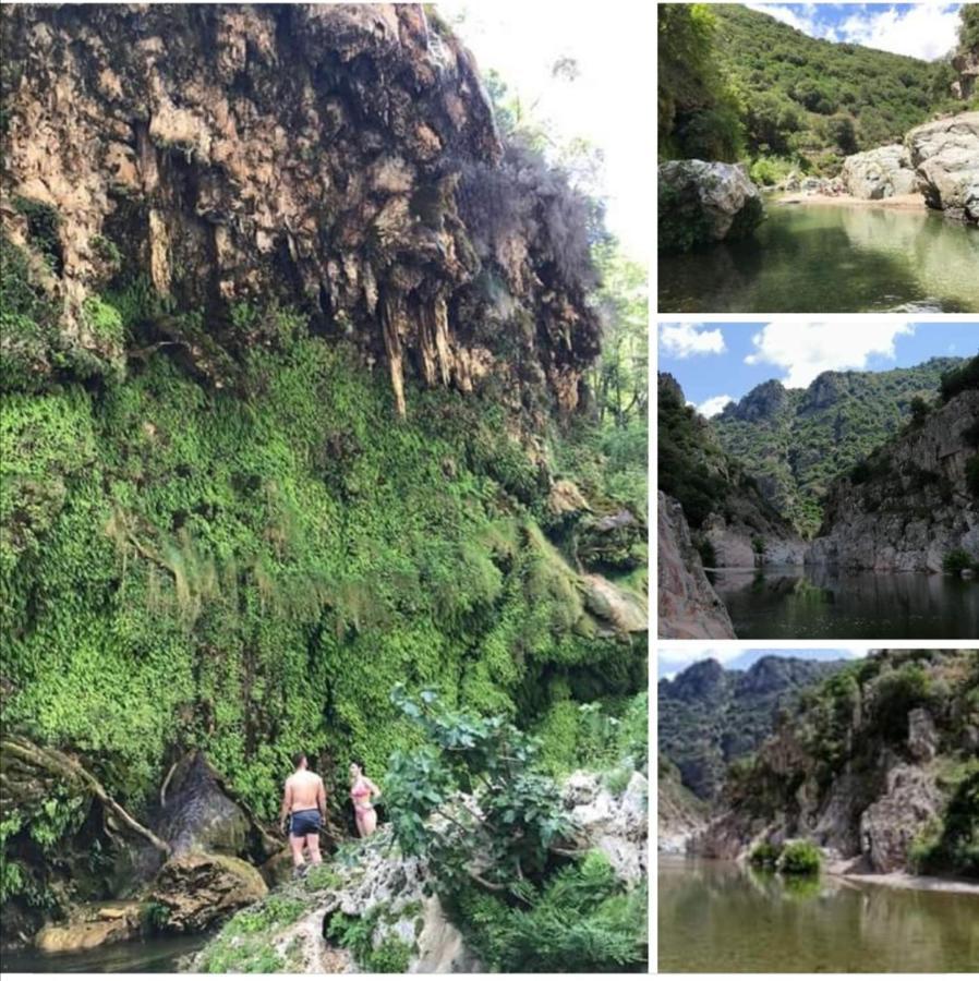 Ferula Romantica Mansarda Tra Fiumi E Montagne Sardegna Seùlo Eksteriør billede
