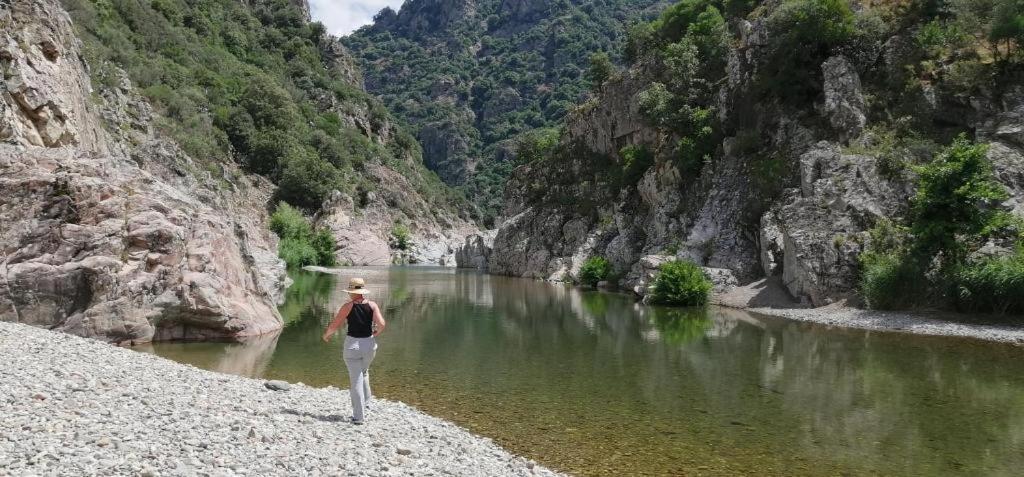 Ferula Romantica Mansarda Tra Fiumi E Montagne Sardegna Seùlo Eksteriør billede