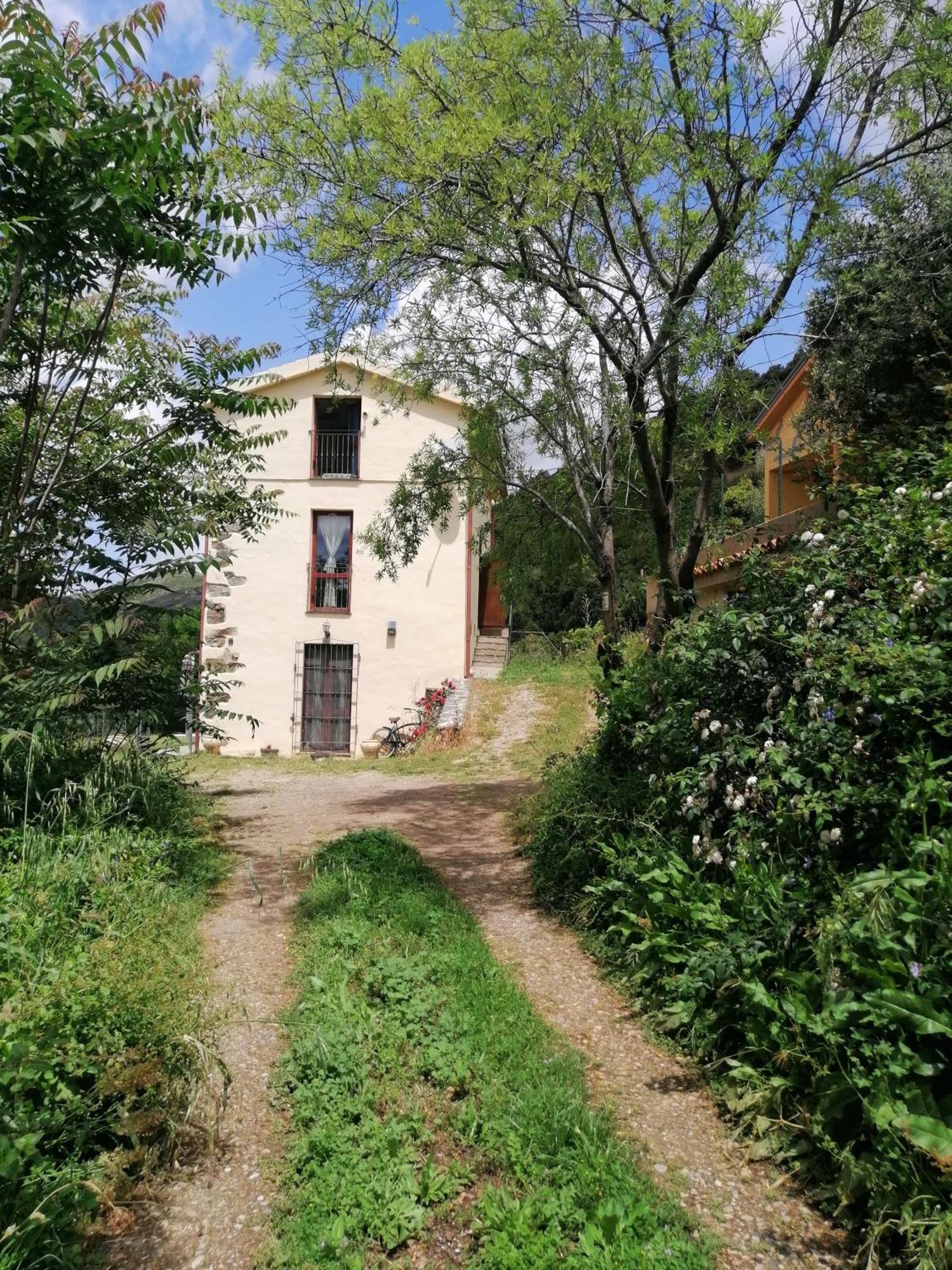 Ferula Romantica Mansarda Tra Fiumi E Montagne Sardegna Seùlo Eksteriør billede